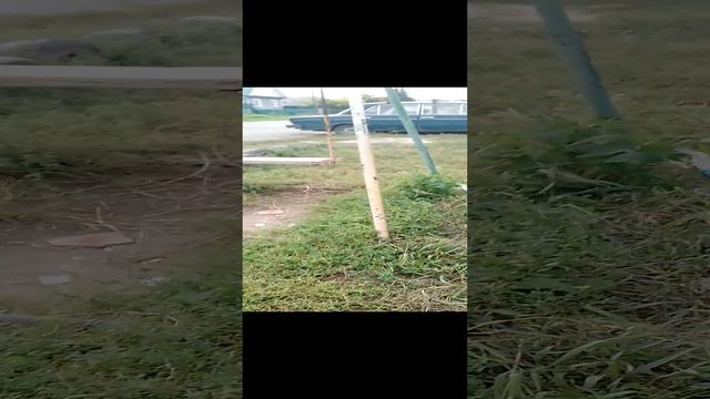 обзор на площадку