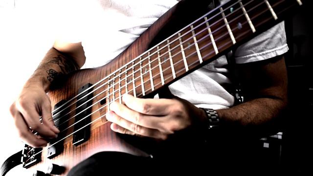 Microcosm, Night Sky, Synesthesia: Bass Synth Effect Pedal Combo Bass! Strymon, GFI System, Hologra смотреть онлайн