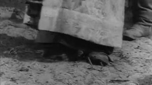 Блаженная Феоктиста Воронежская Студия А Никонова, 2012