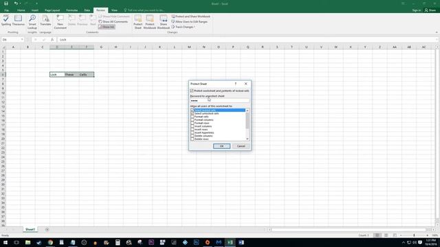 Excel 2016 : How to Lock Cells and Protect Worksheet смотреть онлайн