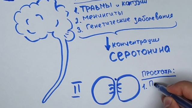 О причинах раннего семяизвержения наглядно смотреть онлайн