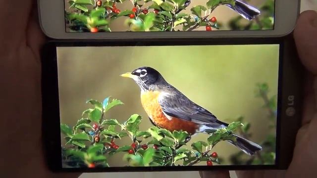 LG G3 или Samsung Galaxy S5? Объективное Сравнение / Арстайл / смотреть онлайн