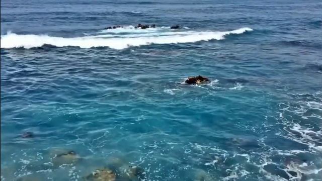 Молитва Спасения!???♥️ смотреть онлайн