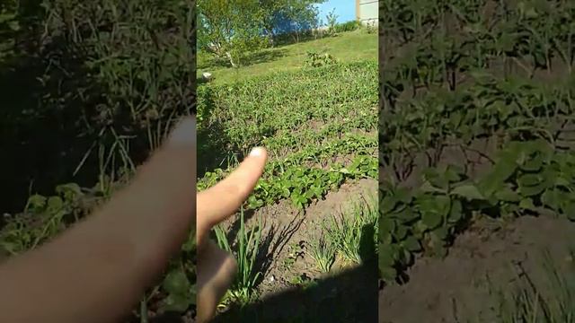 30 апреля 2018 г. смотреть онлайн