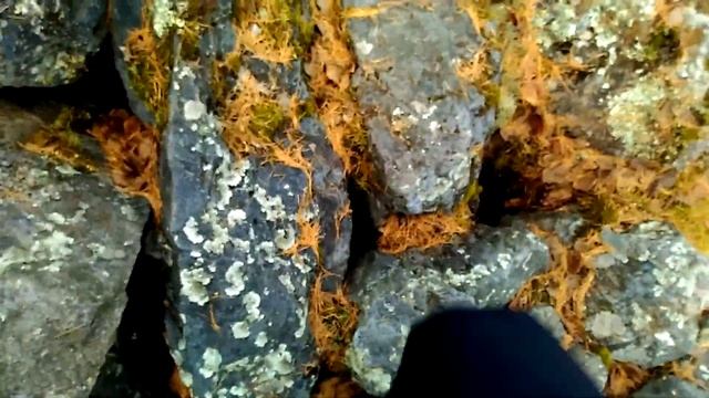 Лучший ролик про АЙГИР ! Хребет Караташ смотреть онлайн