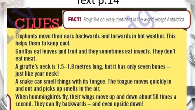 Unit 2. Living things. Theme: Animal facts. Grade 5 смотреть онлайн