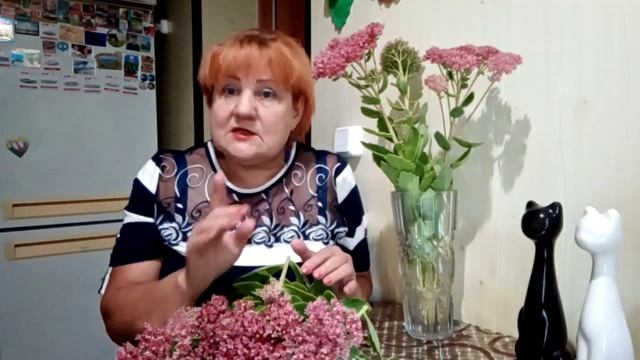 Очиток пурпурный. Природный противовирусный источник. смотреть онлайн