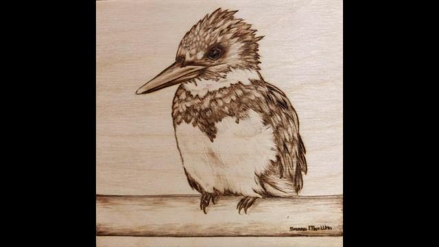 Adding Colour to Wood Burning? | King Fisher with Colourful Feathers | Pyrography Time-lapse смотреть онлайн