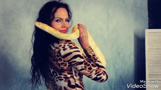 Питон. Модель. Восточный танец. Наталья Лисеева смотреть онлайн