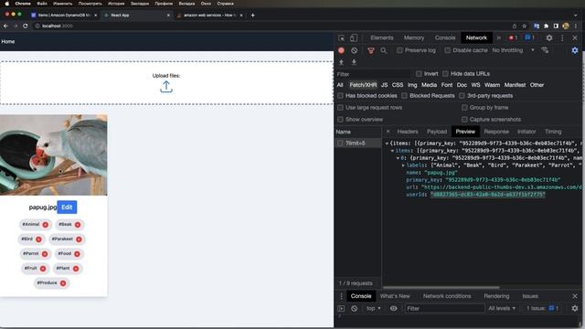 How to Add User ID to Pictures Uploaded in AWS DynamoDB and S3 смотреть онлайн