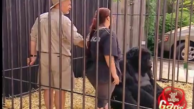 прикол в зоопарке