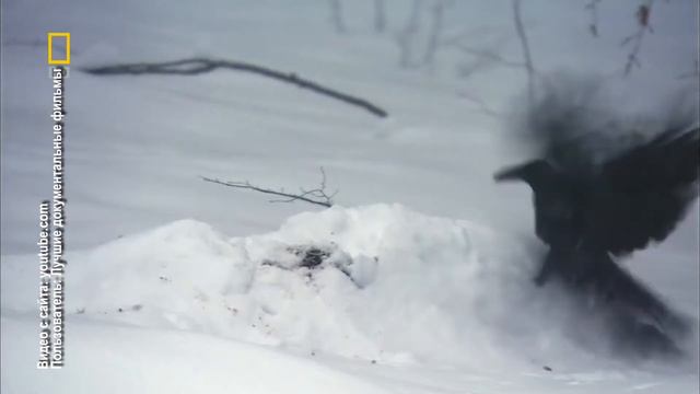 3 марта "А СЕГОДНЯ в этот день..." (К. Костышена) смотреть онлайн