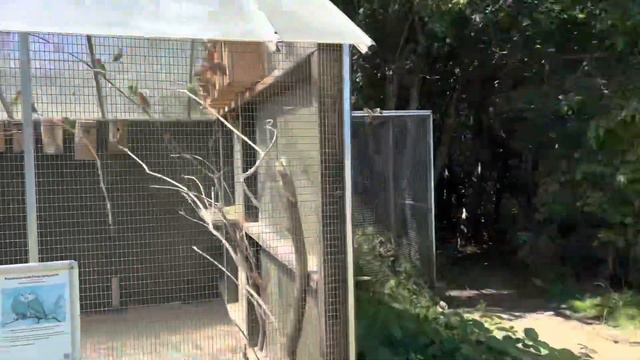 Largest Bird ZOO in Northern Europe | Aviary Birds | S2:Ep12 смотреть онлайн