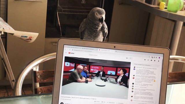 Как сделать самому волшебный фонарь из арабской сказки. Ручная роспись стекла своими руками.