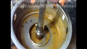 Mechanical Seal Change (Wilo Mvi type pump)