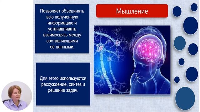 Биология, 8-й класс, Высшая нервная деятельность смотреть онлайн
