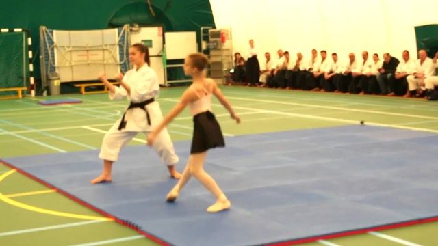 Ballet FUSION ARTS Karate - Performance | Ina Elena Postelnicu смотреть онлайн