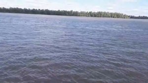 Река Обь. Алтайский край