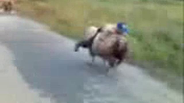 супер мотоциклы!!! смотреть онлайн