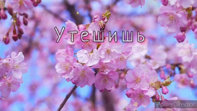 Мама, я тебя люблю ? Музыкальная открытка смотреть онлайн