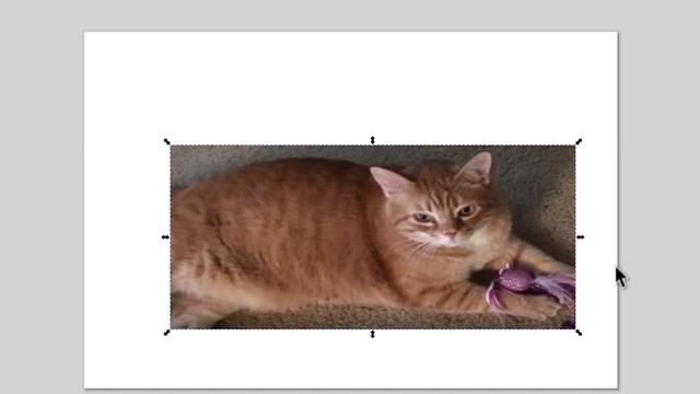 How To Resize An Image While Keeping Its Aspect Ratio Using Inkscape 2023 смотреть онлайн