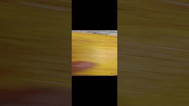 Он что-то Срочно хочет Сказать тебе 💯❗Таро прогноз смотреть онлайн