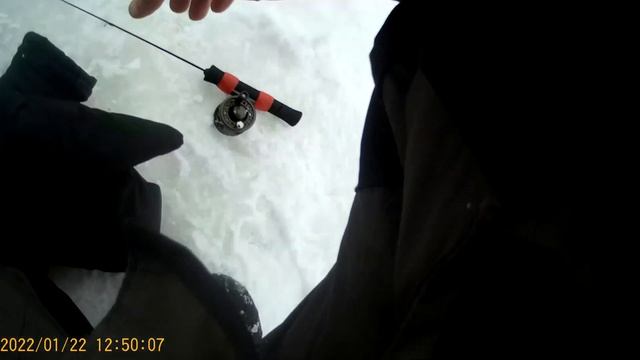 Юсупову с уважением из Зарайска #рыбалка #форель #ловляфорели #платникюсупово смотреть онлайн