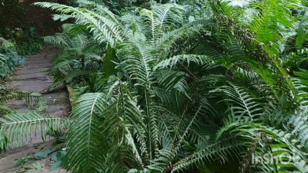 Mystic places near us