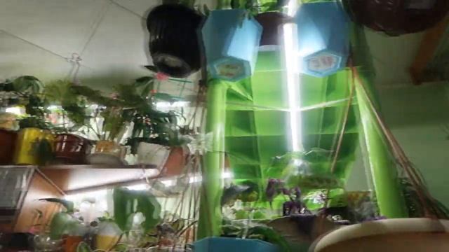 ВЛОГ: Мотаемся по делам / Проведали дачу смотреть онлайн