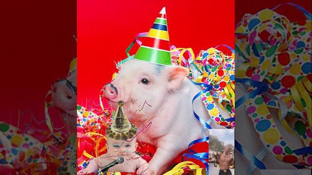 Поздравление от сыночка смотреть онлайн