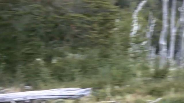 'Antarctic Odyssey a New Beginning' Part XV смотреть онлайн