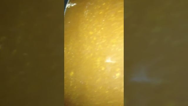 Winter brew смотреть онлайн