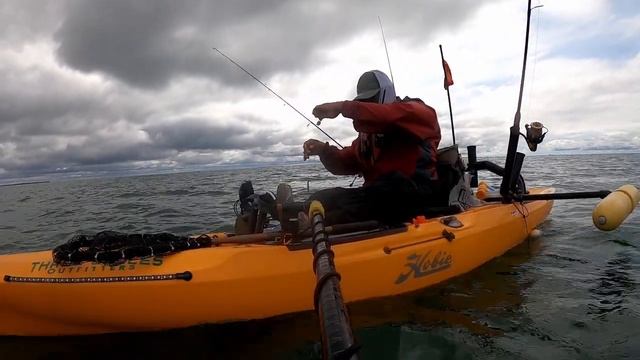 Kayak fishing gone wrong смотреть онлайн