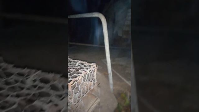 Куда пропадают цыплята- молодки ,кто их сожрал????? смотреть онлайн