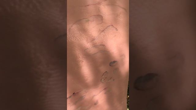 "Les Madères" Residency by TRUDI BLOOM Part I смотреть онлайн