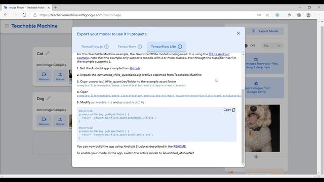 Build a Cat-Dog Detector App with Flutter & Tensorflow | Flutter Tutorial | Source Code смотреть онлайн