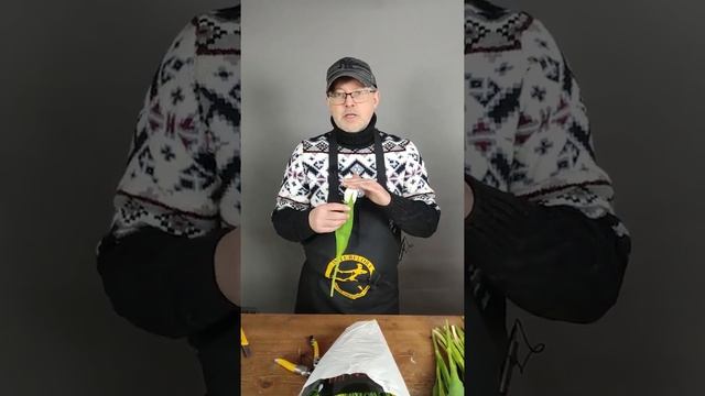 Тюльпан. Азбука цветов с Павлом Горбенко. советы флористам смотреть онлайн