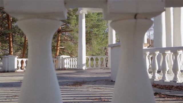 Фрагмент свадебного фильма "Наталья и Александр". смотреть онлайн