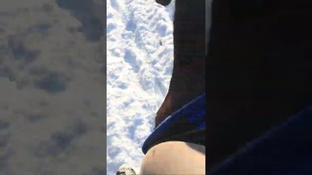 Галоп на лошади зимой в полях. Мустанг. смотреть онлайн