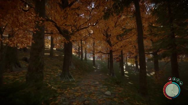 Sons Of The Forest 2023 Relaxing Sounds