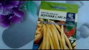 Обзор сортов спаржевой фасоли..