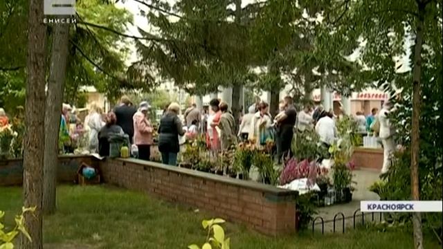 В Центральном районе Красноярска прошел "Праздник цветов и даров" смотреть онлайн