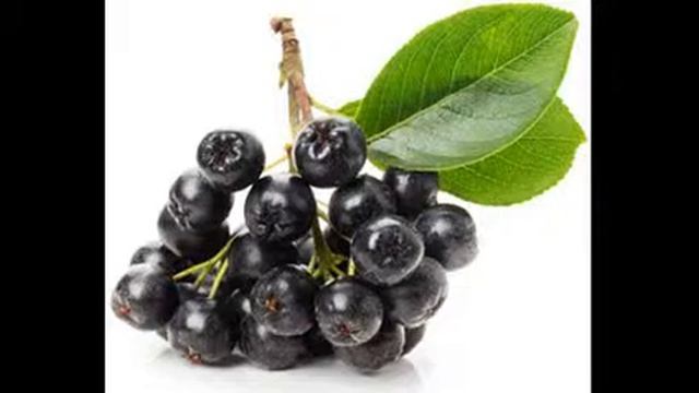 черника для зрения смотреть онлайн