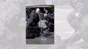 «Жизнь прекрасна» Поль Мориа #Музыка