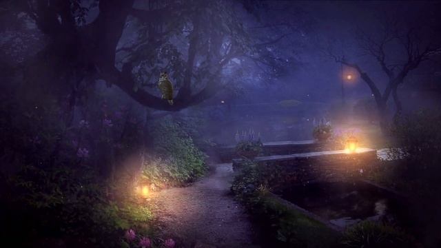 Звуки Ночной Природы: Звуки Совы, Пение Сверчков для Глубокого Сна и Восстановления Сил смотреть онлайн