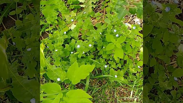 ? смотреть онлайн