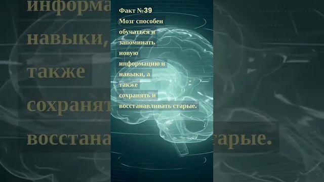 #шортс #факты #топфактов #космос #млечныйпуть #галактика #топ #топ10 #невероятные #телочеловека смотреть онлайн