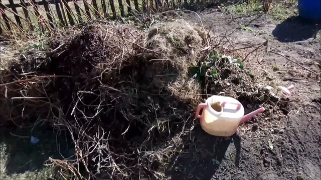 Пересадка клубники весной смотреть онлайн