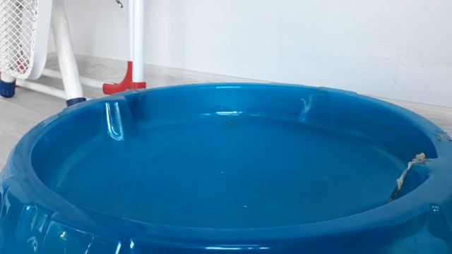 Старые бейблейды... (С чего всё начиналось.) смотреть онлайн