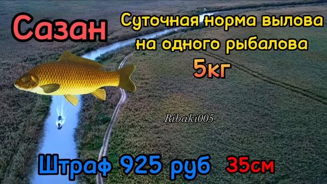 Норма вылова рыбы.Штраф за рыбалку 2023 году смотреть онлайн